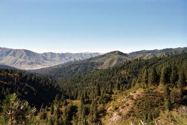 A picture of the Dagget Creek area just northeast of wilderness Ranch