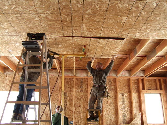 Putting up the ceiling is just too much fun!