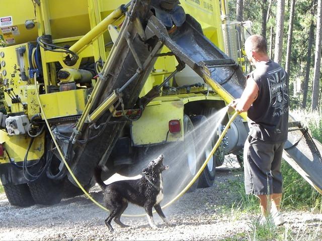 Buster has to help with cleaning up the truck.