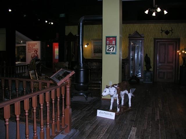 Two headed calf in an old bar (IHM).