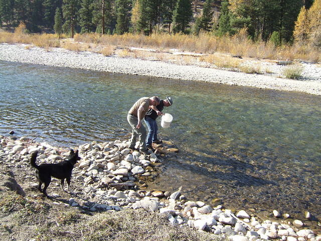 Curtis is getting water from the Boise River; Paul is attempting to toss him in.