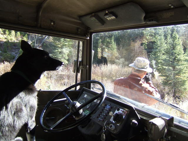 Buster takes over as a driver when Curtis gets out to take a photo.