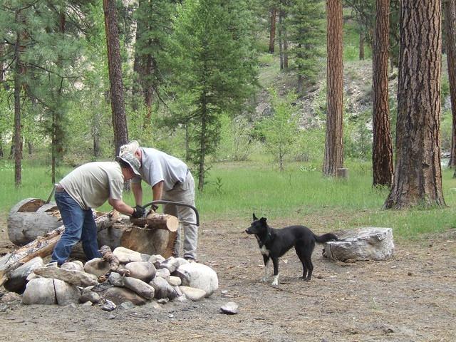 After we got back to the campsite, it was time to saw the wood into smaller pieces.
