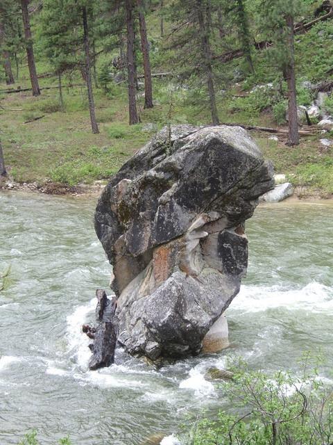 There are actually two trees trying to grow on this rock.