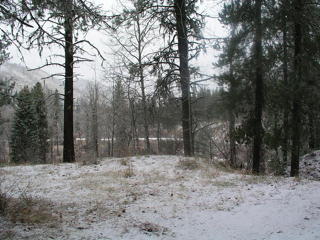 Snow creates new images. We see the same old stuff in a new light.