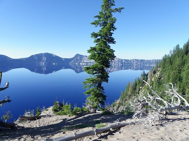 The lake is so still, it is hard to seperate ihe mountain from its reflection.