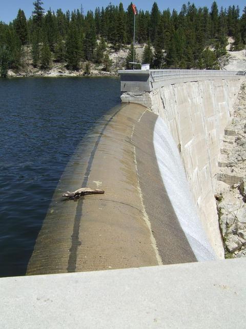 The water here doesn't look deep. You could almost walk across.