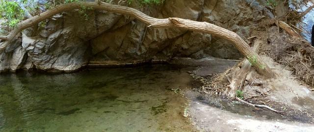 The pool by Darwin Falls.