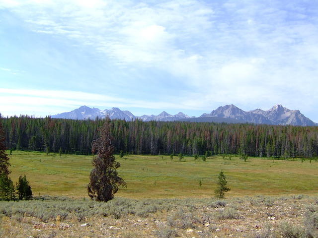 We left GrandJean and drove to Stanley where we had magnificent views of the Sawtooth Mountains.