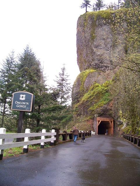  A repaired unused train tunnel. 