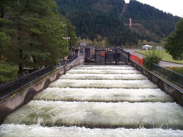 The new locks made it necessary to enter the ground over the dam and enabled a better view of the fish ladder.
