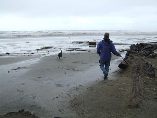 It was dry enough one day to walk on the beach. The wet weather did not deter Buuster from running after sticks.