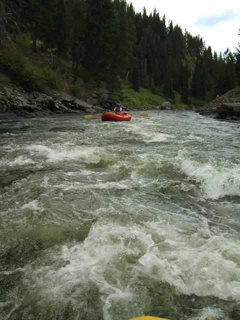 Here we go! Another speedy bumpy ride.