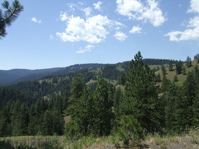 We drove through beautiful scenery to the river gorge.