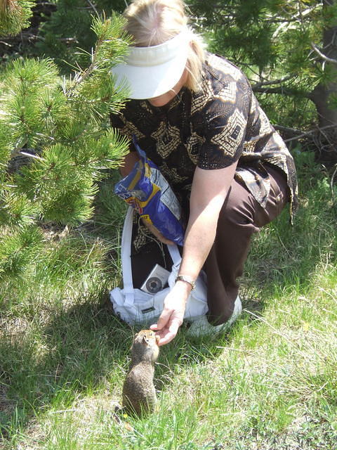 The local wildlife gets a thrill at pleasing the tourists. Patty is not immune to their charms.