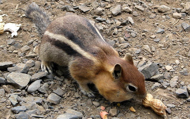 Oh good! where oh where do I have room to put it?