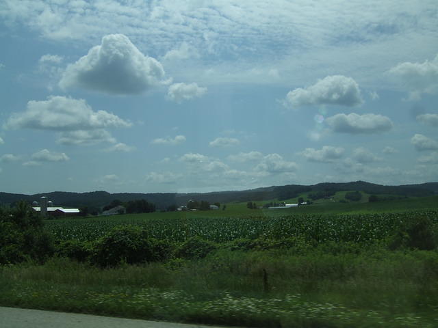 Typical Wisconsin: green, corn and farm buildings. Brings back memories.