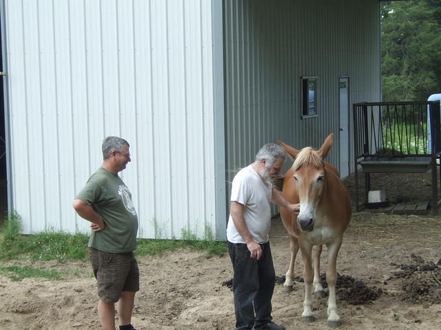 First stop, Craig's house. Alpo, the mule, wants attention.