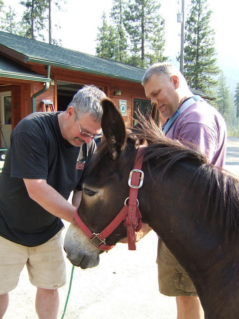 The free day was eventful only because we had a visitor from down the road. He really liked the clover in our lawn.