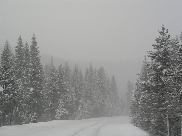 By the time we got close to Yellowstone Park, the roads were pretty bad!
