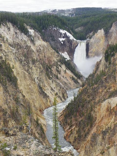 The Yellowstone River's waterfall at Artist's Point is fast and furious.