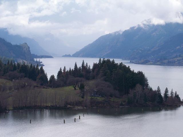 The water is still and reflects the trees.