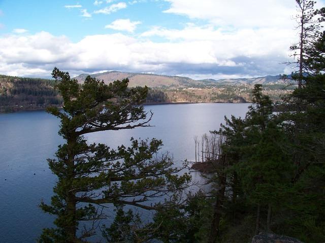 The Columbia River is beautiful! You can see the change from no trees to many trees by Hood River.