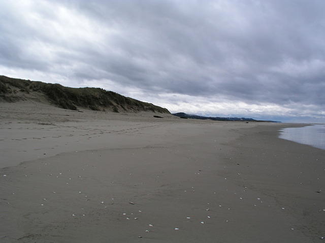 The dunes ran for a long way in both directions.
