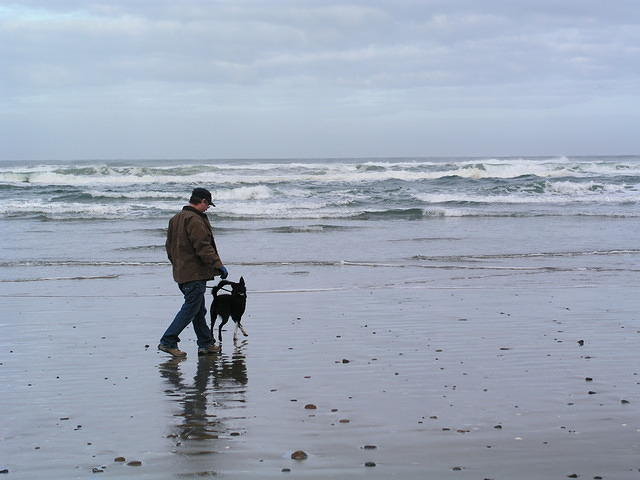 Buster gets his first look at the ocean.