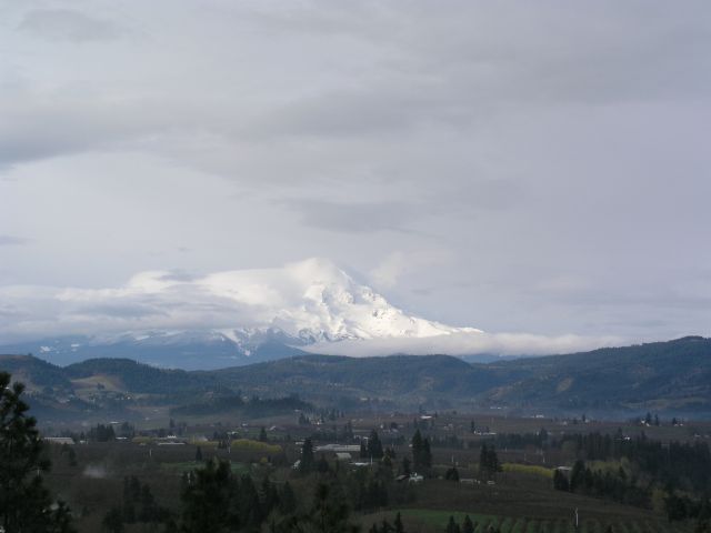 Mt Hood