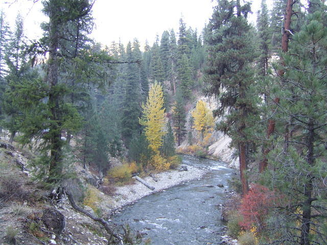 The Payete River by the campsite