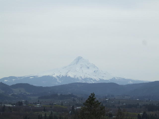 We got to see Mt. Hood in all its glory today. Clouds are moving in; we will not e able to see it on Day two.