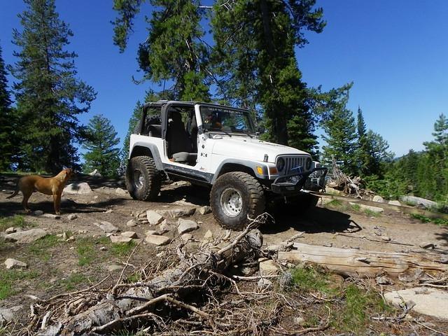 Fiona looks on anxiously to see if Christian is going to leave her.  He won't because he is moving the damn tree.