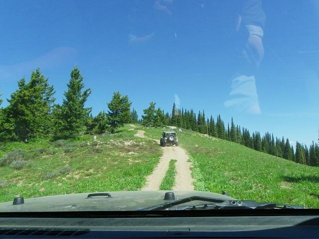 Ah! a clear path. Maybe, just maybe, there won't be more trees in the road.