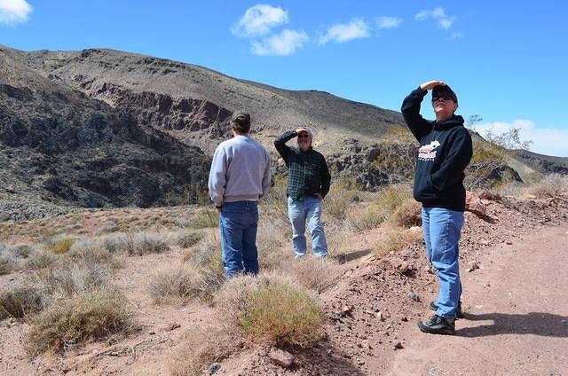 Must be looking at the jets that flew over.