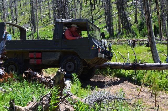 Have to drive over logs too.