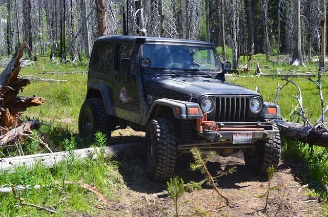 All the vehicles did it easily.