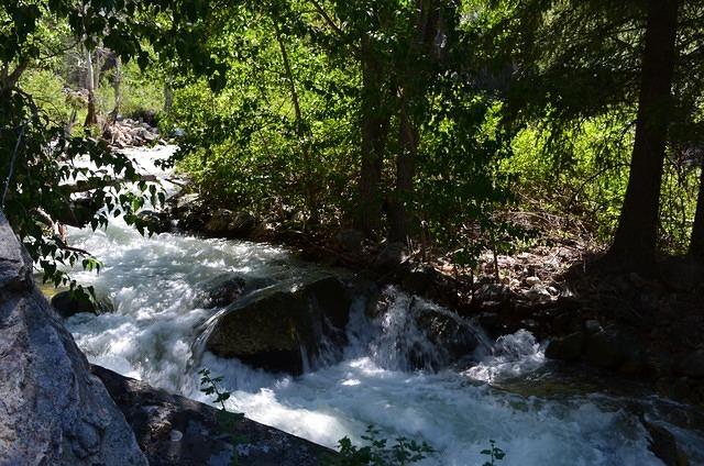 It was always running fast over rocks.