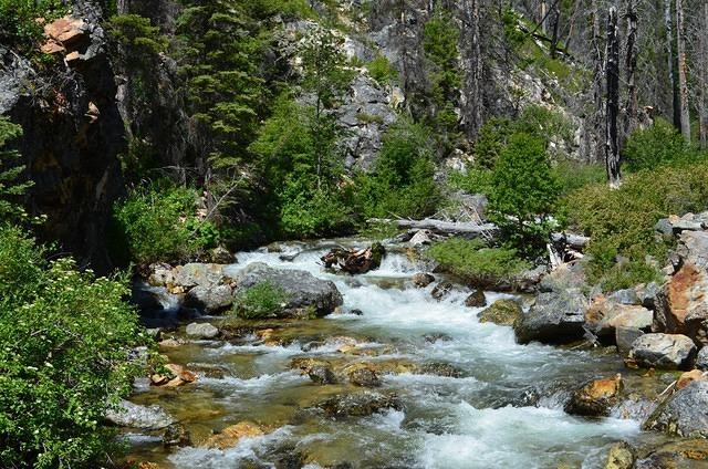 The view from the bridge.