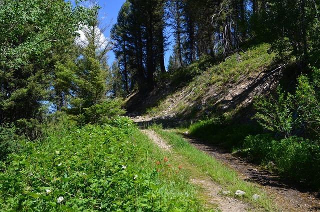 Thr road here is relatively smooth.