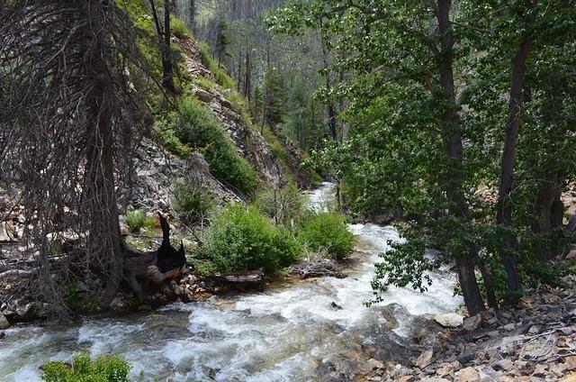Had to turn around and go back the way we came so saw the backside of the river.