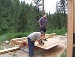 Paul gets the hard job of holding the OSB steady while Curtis cuts it to size.