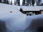 January 30, 2008. A lot of snow has fallen and more to come. Running out of space to blow it.