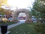 Patty took a photo of the arches that are on each corner of the square in Jackson. The are made of antlers.