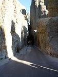 Along the Needles Highway in South Dakota we encountered rocks standing like needles and one lane tunnels Patty got to drive thr
