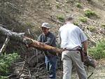 We ran into a fallen tree on our side trip. We had a saw, so the guys went to work.
