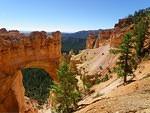There are arches in Bryce Canyon!