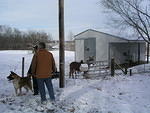 We arrive in Wisconsin and stop at Craig's house.  We check out his new barn and the mules.