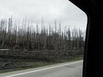 This part of Yellowstone was burning last fall when Jane was in Yellowstone.