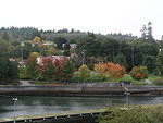 Fall colors by the locks.